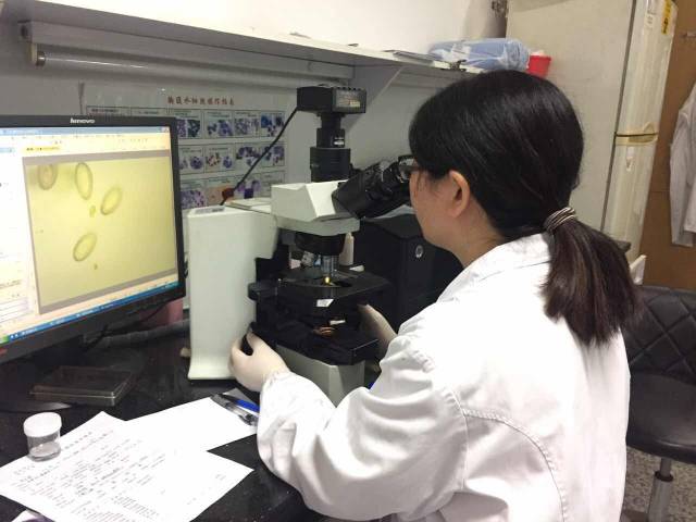 胆囊里面有虫怎么办,胆囊有虫什么症状