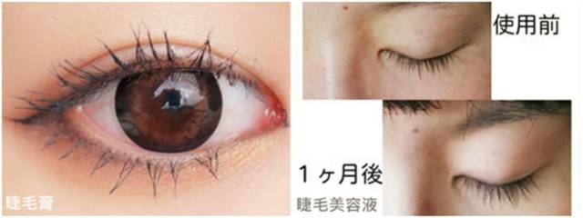 日系热门护肤彩妆 (性价比高又好用的日本美妆新品)