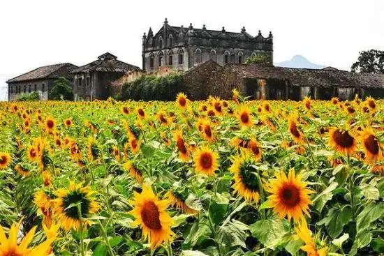 头条|再有人说广西没有秋天，就把这条微信甩给TA看！