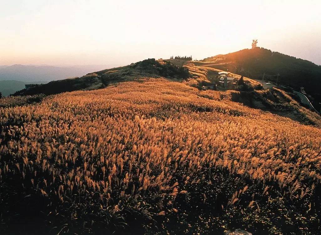 日本箱根泡温泉好吗,去日本箱根泡温泉一定要住酒店吗