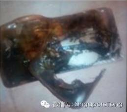 新加坡航空可以使用手机吗 (新加坡航空最新托运规定)