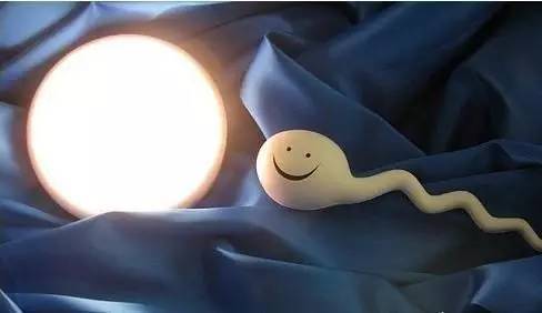 这是一篇比男人还了解“小蝌蚪”的文章