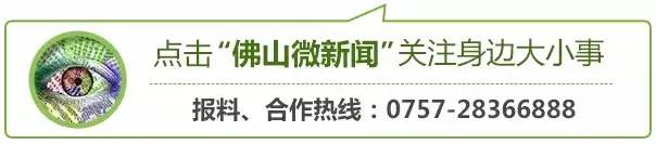 佛山机场2024年有哪些航线,12月佛山机场有哪些航线