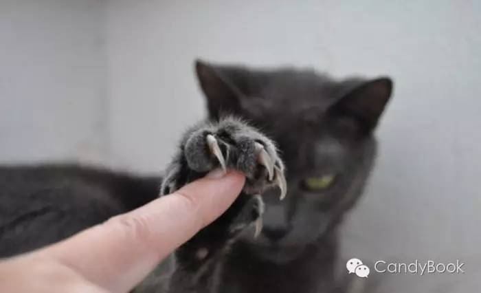 榛戝柕杩囩▼閲嶈杩樻槸缁撴灉閲嶈,榛戝柕浠ュ悗杩橀渶涓嶉渶瑕侀伩瀚屼簡