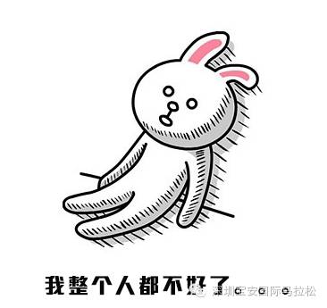 2016宝安国际马拉松,马拉松宝安赛