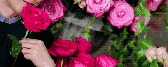 去迪拜旅游流程攻略,去迪拜旅游的朋友讲讲攻略