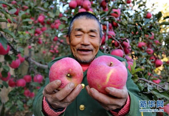 合格洗发水名单,各种品牌洗发水测试