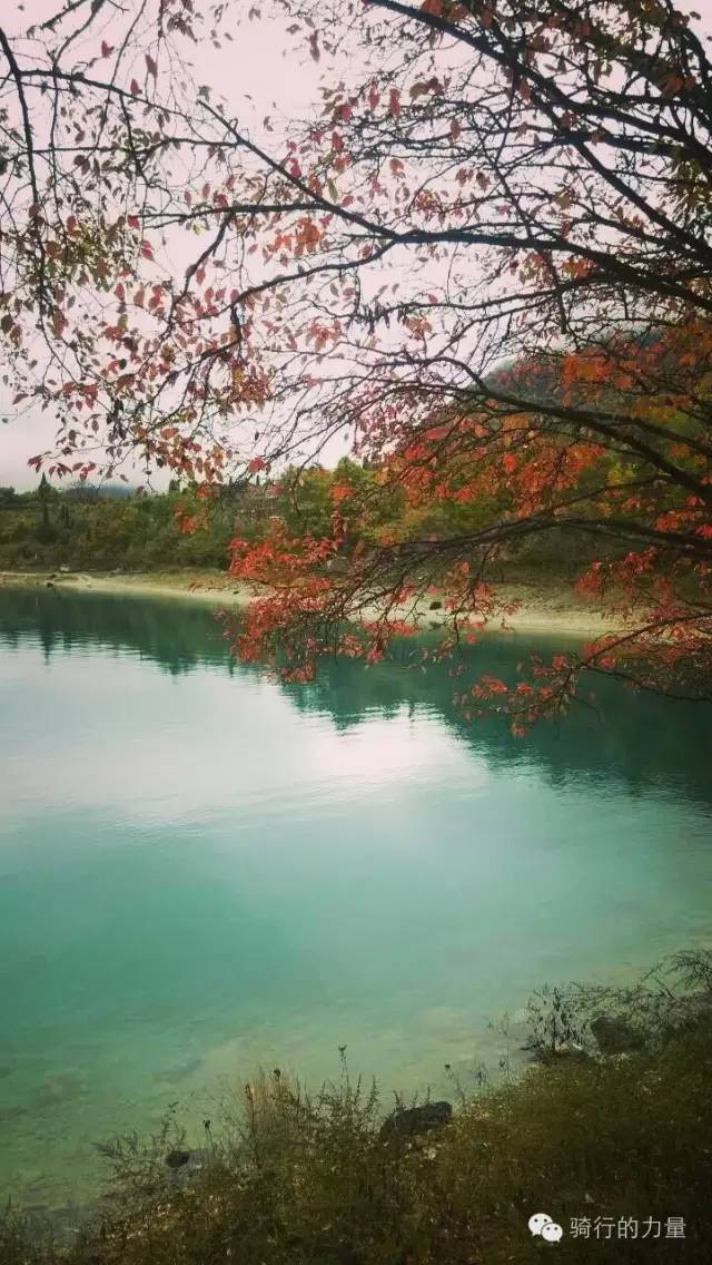 骑行醉美太湖线感受春日美景,骑行感受大自然的美景