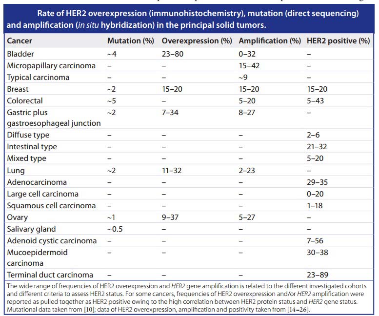 her2靶向药物,her2基因突变会引发各种癌症吗