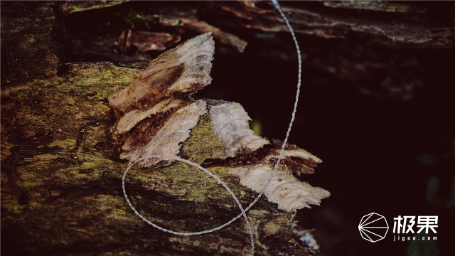 这盒子还没手掌大，里面的工具却比工具箱还全，野外保命全靠它