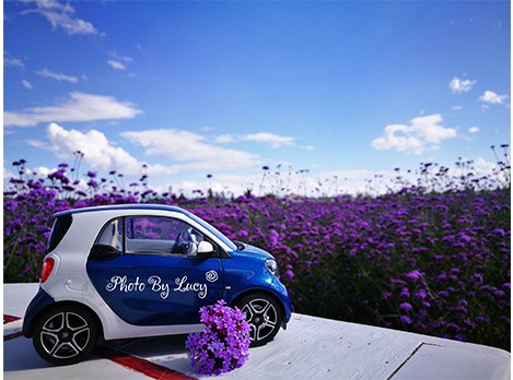 他们都以为我开smart去大理了...蓝鹅事实是...