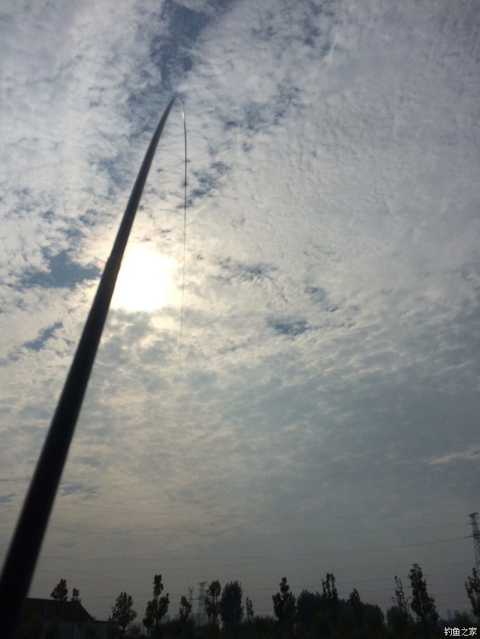 新手入门鱼竿推荐品牌,新手入门推荐鱼竿