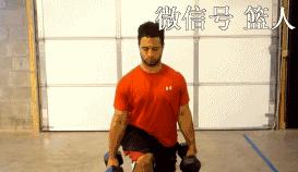 弓步蹲哑铃弹跳训练,体育生弹跳训练方法哑铃