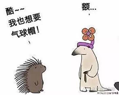 每天一种水果介绍山竹,每天一个水果是什么体验