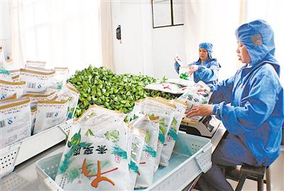 最近农业投资方向,农业投资方向及建议