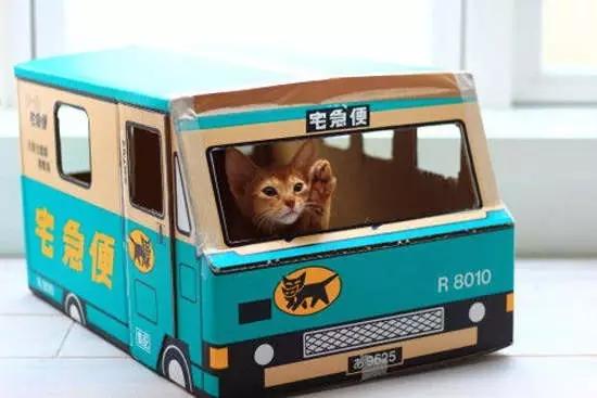 日本快递快不快,日本快递快吗