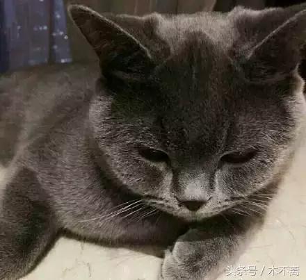 鹿晗对你心动的瞬间,鹿晗的对你爱不完