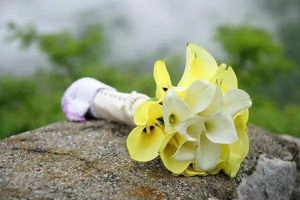 你最喜欢哪一束美丽的手捧花,人生最珍贵的手捧花