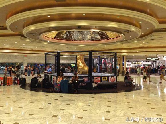 在美国旅游视频教学,美国自由行自驾游