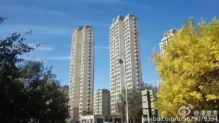 今天的蓝天已经被天津人玩坏,据说这都是它闹的