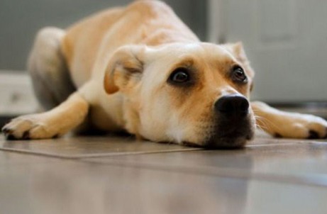 焦虑情绪蔓延,最需警惕的是焦虑情绪蔓延