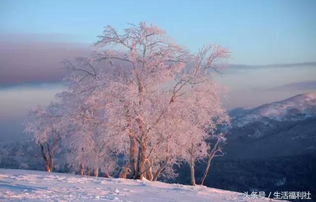 什么能够代表哈尔滨,哈尔滨代表人