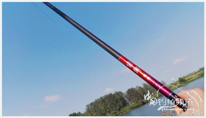 菜地钓鲫鱼绝密技巧,菜地钓白条视频大全