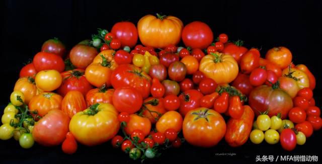 支气管哮喘秋天怎么调理 (季节性哮喘怎么治到秋天就犯病)