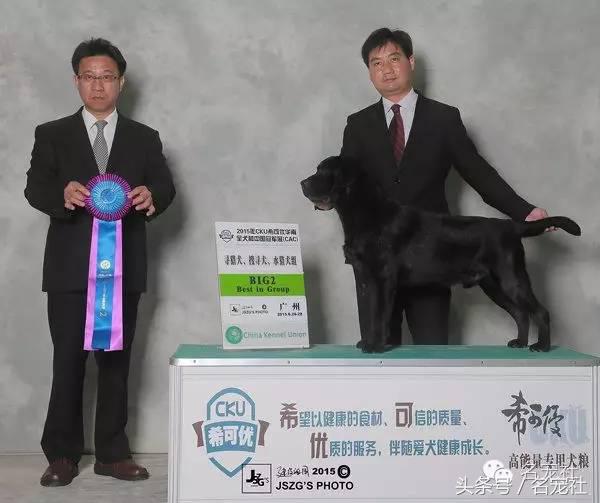 优基10kg中型犬粮,优基小型犬全价幼犬粮