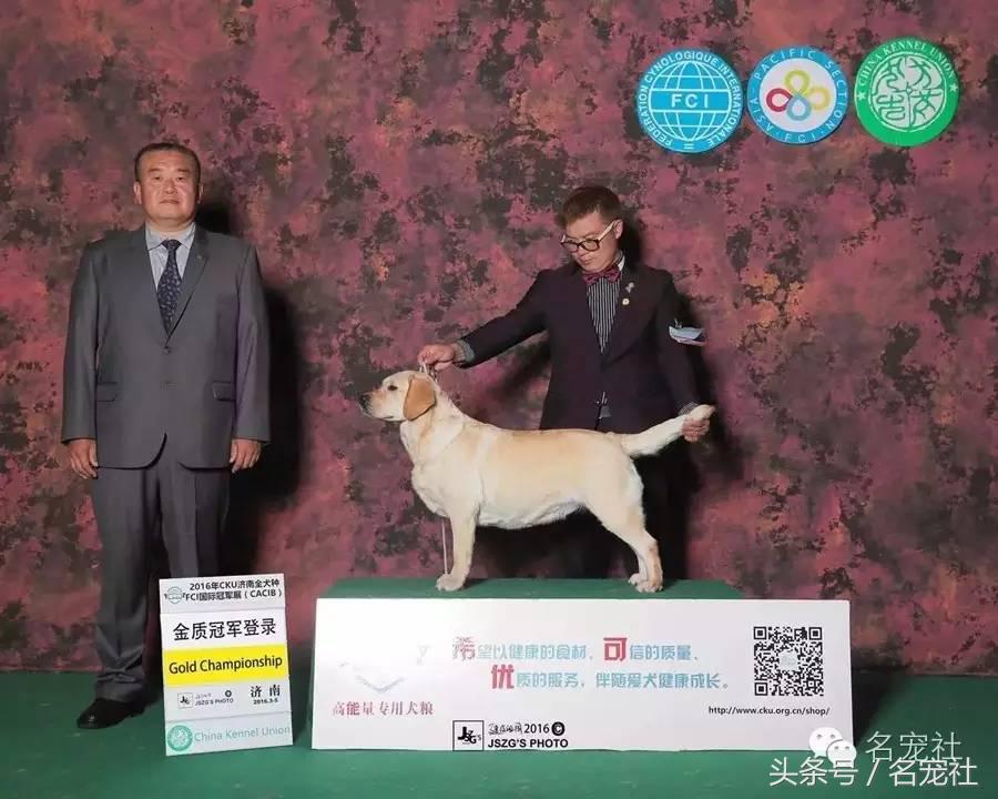 优基10kg中型犬粮,优基小型犬全价幼犬粮