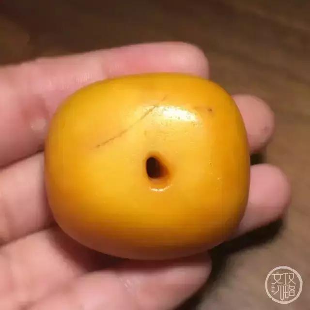 老蜡有什么缺点,老蜡有灵性吗