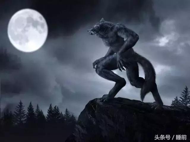 万圣节的趣味介绍,关于万圣节的趣味问题