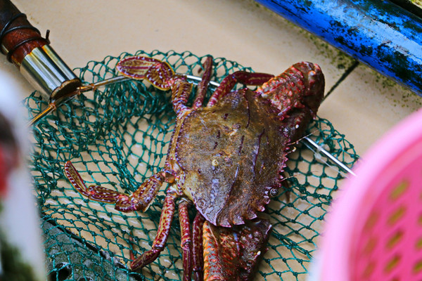 三亚最美的地方在哪里,三亚世界上最美的海在哪里