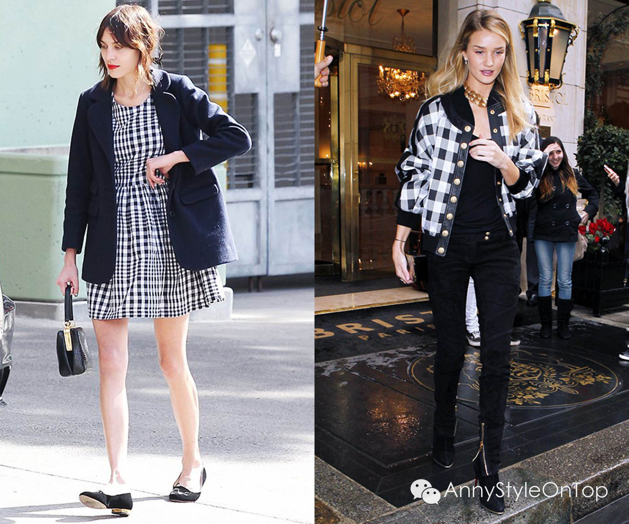 终极指南细说蚂蚁,2022年大趋势攻略