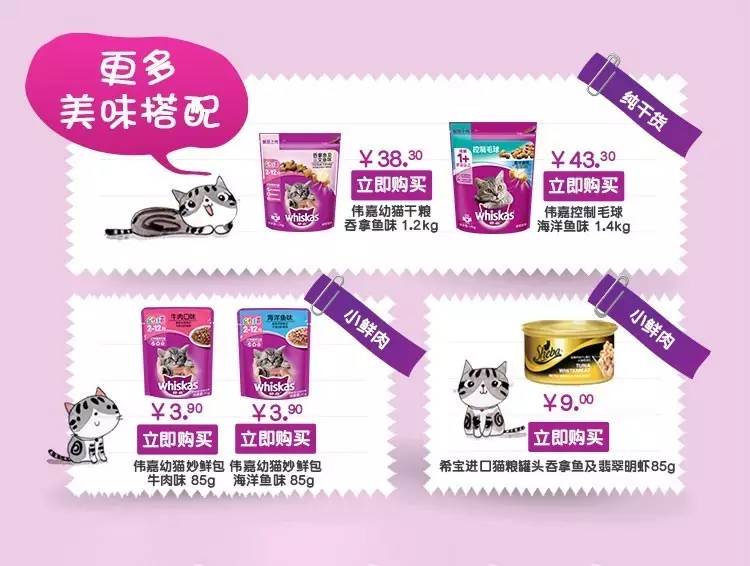 猫粮大盘点｜你家猫咪适合哪一款？