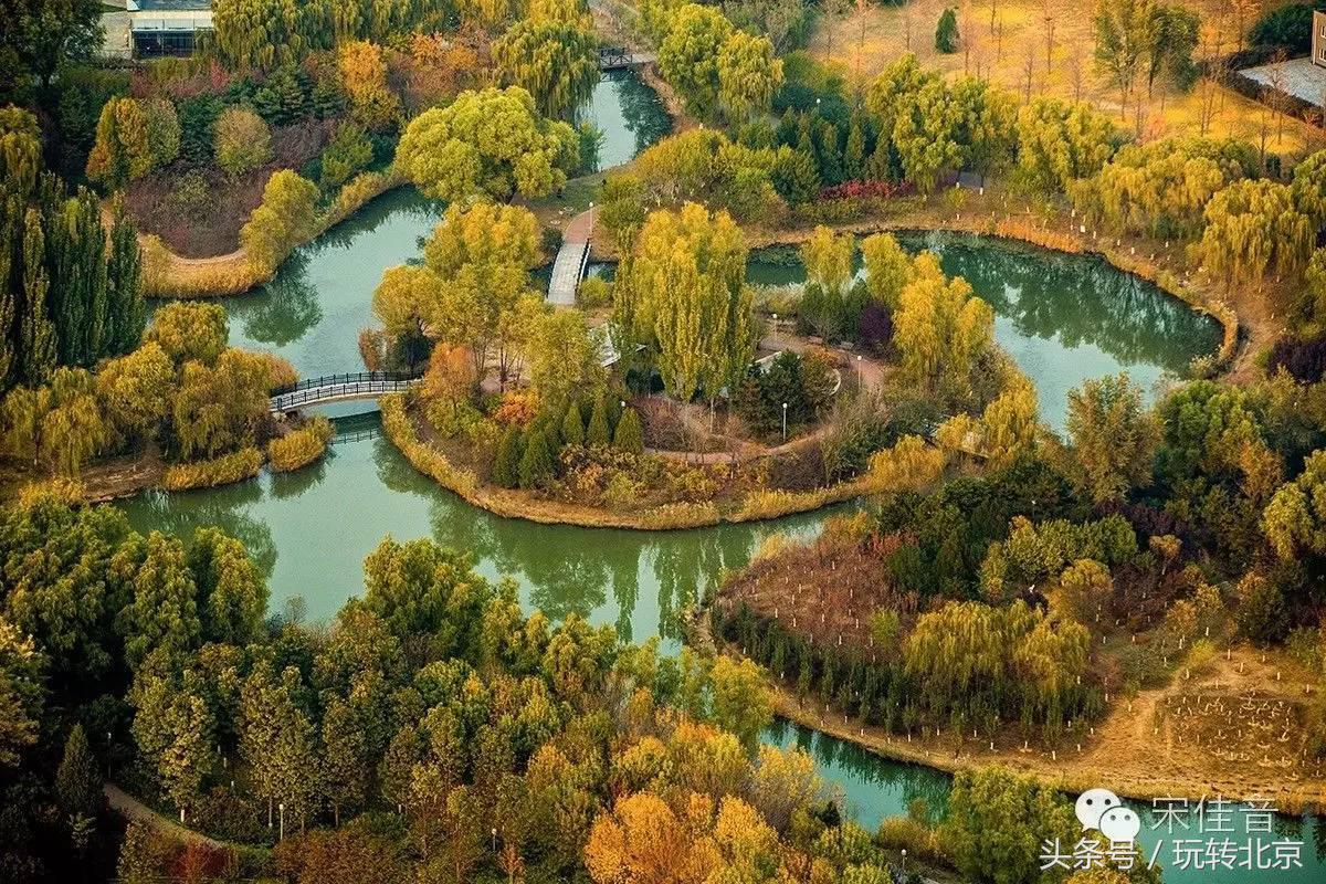 世界上最著名五塔,全世界最大的三塔连体建筑