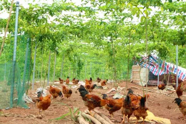 港南区哪里好玩,港南市哪里好玩