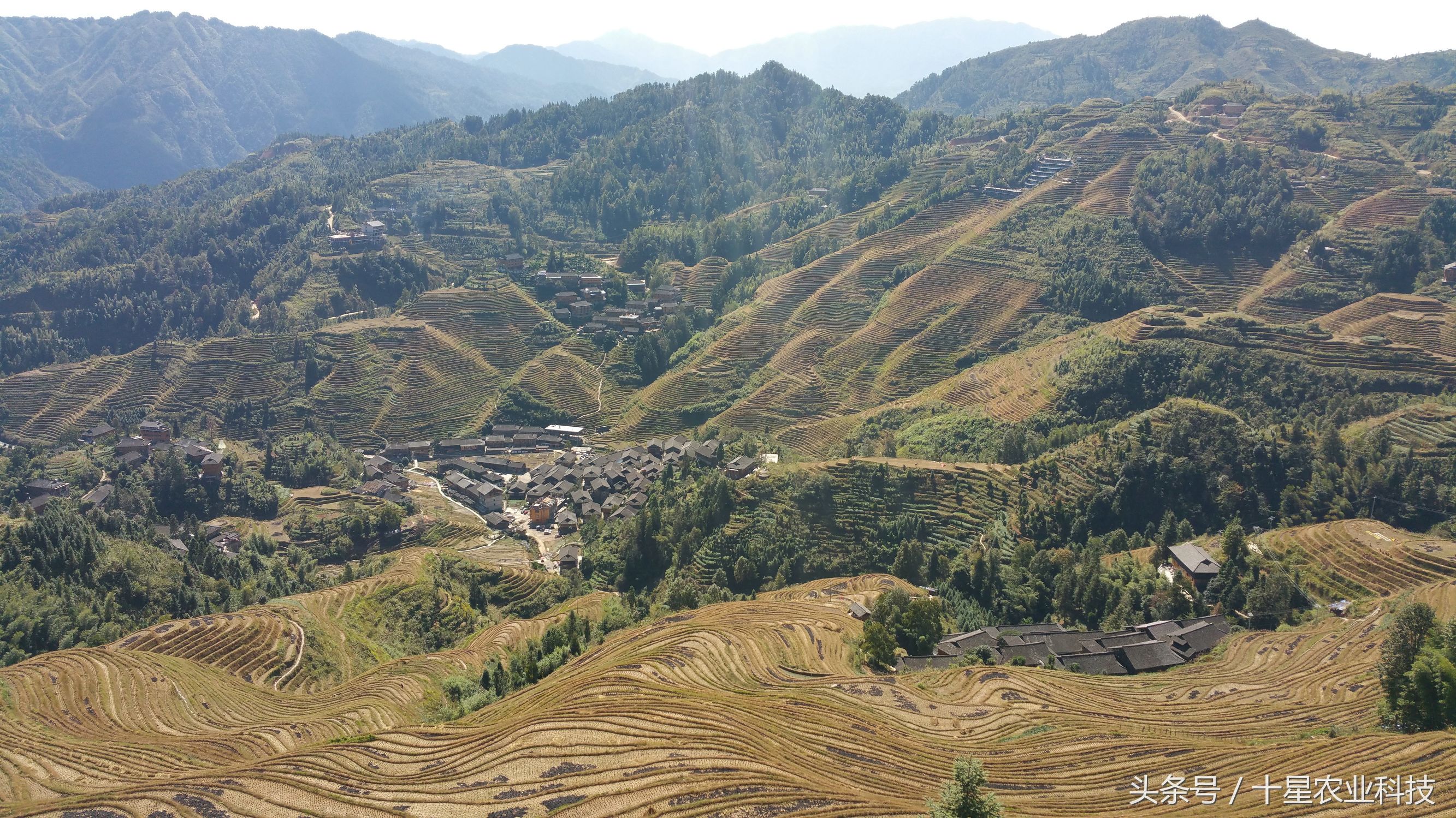 龙胜瑶族大寨龙脊梯田，原创拍摄几十图，有美女出镜哦！