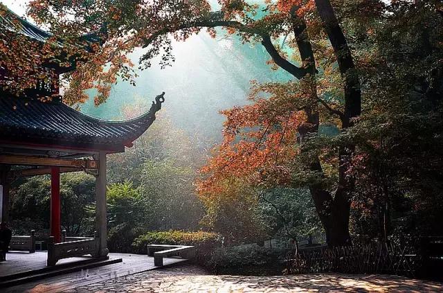 沪昆高铁湘赣段,沪昆高铁沪杭段开通