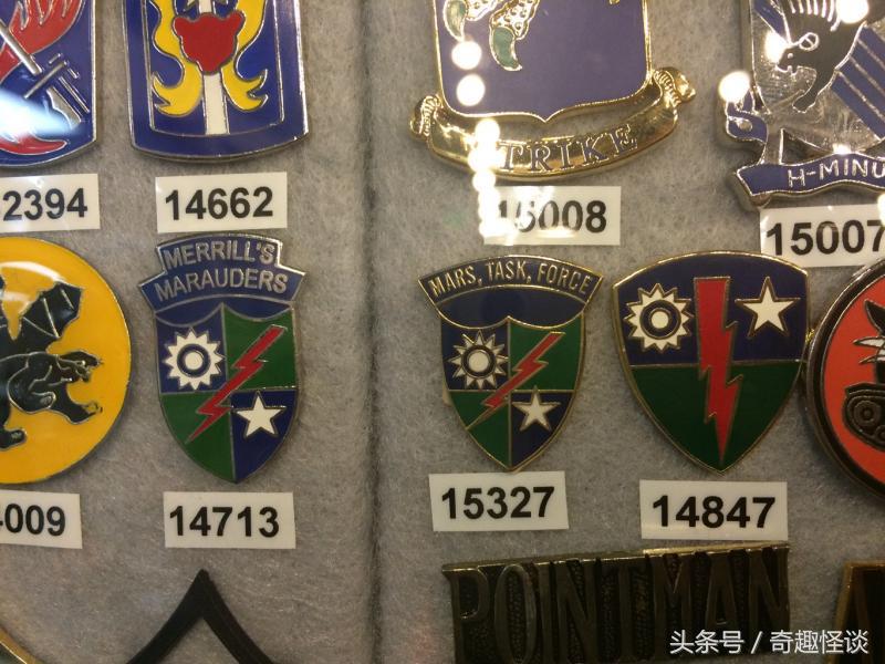 在美国旅游视频教学,美国自由行自驾游