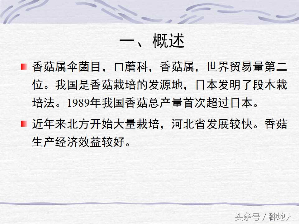 香菇栽培实用技术教案,屋顶香菇栽培