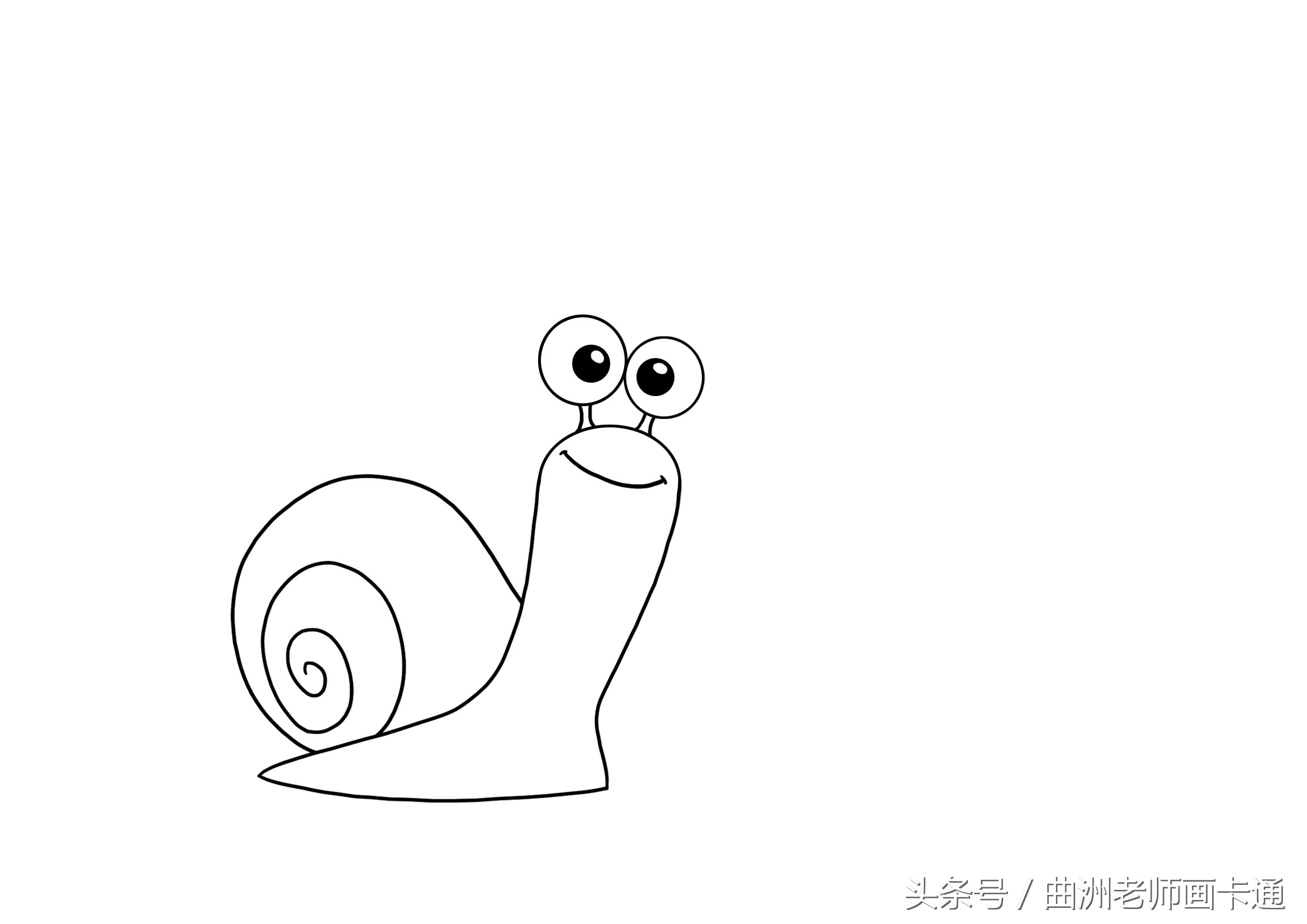 曲洲老师画卡通少儿简笔画海龟,画蜗牛简笔画儿童画