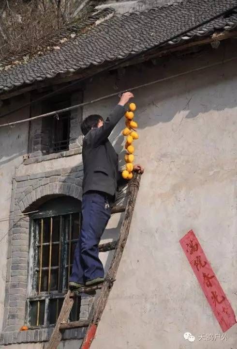 河南最好的红叶银杏叶在哪 (深秋河南哪里可以看银杏)