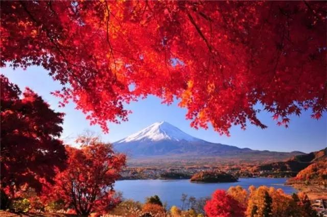 春节旅游飞机便宜的地方,春节旅游飞哪里的机票便宜