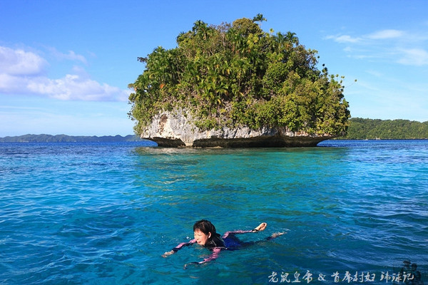彩虹王国美术作品,彩虹王国紫色