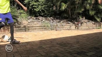 足球盘玩法教学,足球盘球技巧教程