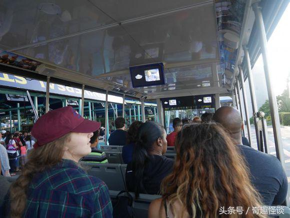 在美国旅游日常,在美国旅游攻略大全最新