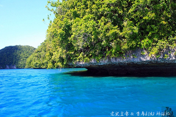 彩虹王国美术作品,彩虹王国紫色