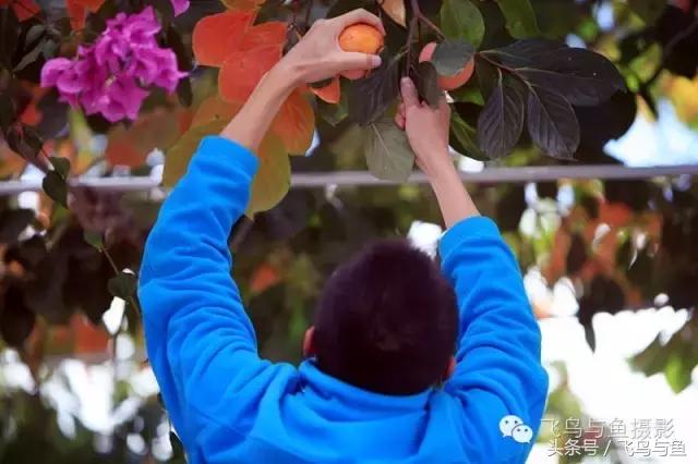 最好的旅程是在家陪伴,最好的旅行是陪伴