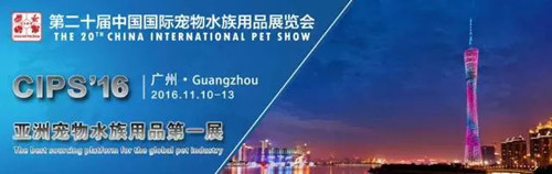 魟鱼营养,饲养魟鱼需要知道些什么